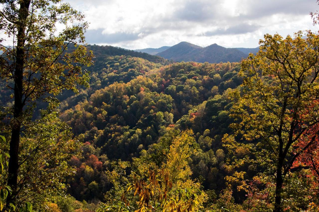 ホテルCherokee Mountain Cabins Llc Topton エクステリア 写真