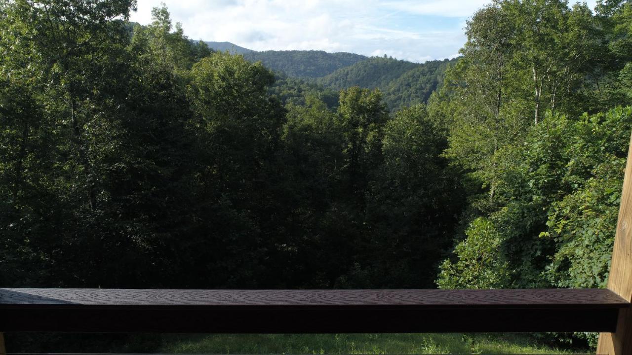 ホテルCherokee Mountain Cabins Llc Topton エクステリア 写真