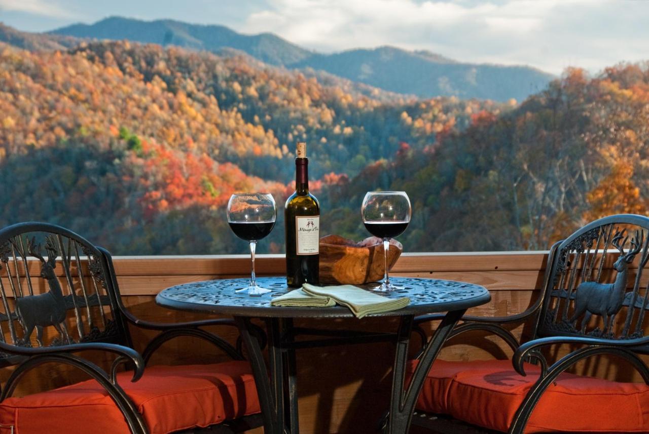 ホテルCherokee Mountain Cabins Llc Topton エクステリア 写真